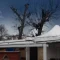 مراقبت از سقف متحرک در زمستان